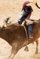 Suspendisse arcu nisl