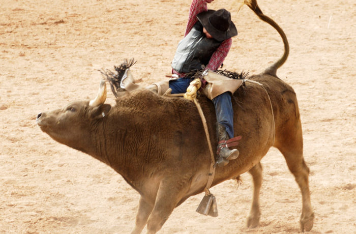 Suspendisse arcu nisl