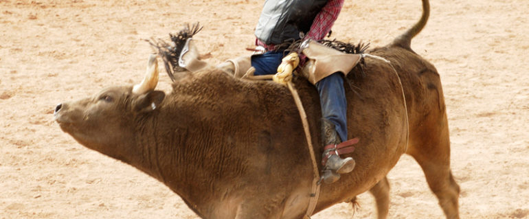 Suspendisse arcu nisl