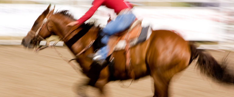 Sed blandit massa vel