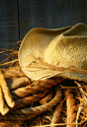 Etiam commodo convallis