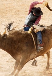 Lorem ipsum dolor sit amet conse ctetur adipisicing