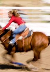 Excepteur sint occaecat cupidatat non proident