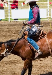 Sunt in culpa qui officia deserunt mollit anim