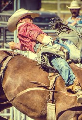 Lorem ipsum dolor sit amet conse ctetur adipisicing elit, sed do