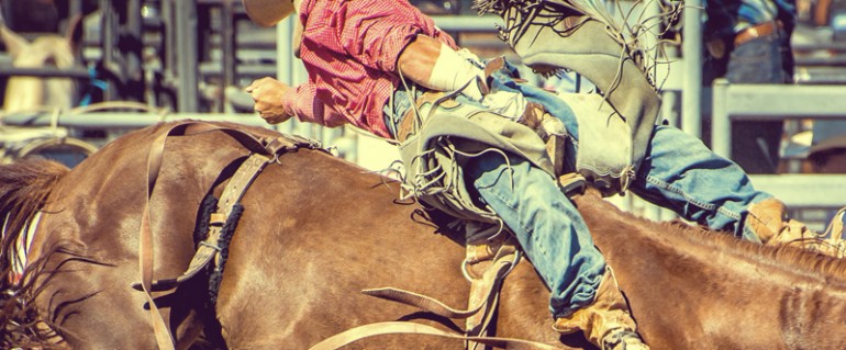 Lorem ipsum dolor sit amet conse ctetur adipisicing elit, sed do