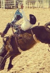 Excepteur sint occaecat cupidatat non proident, sunt in culpa qui