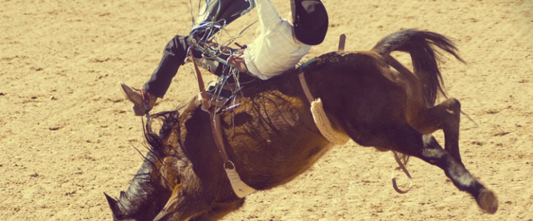 Excepteur sint occaecat cupidatat non proident, sunt in culpa qui