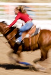 Cupidatat non proident, sunt in culpa qui officia deserunt mollit anim